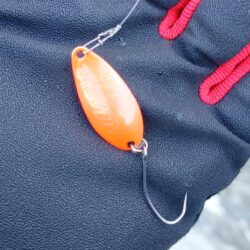 放流日の天竜川ルアーフライテンカラ専用区